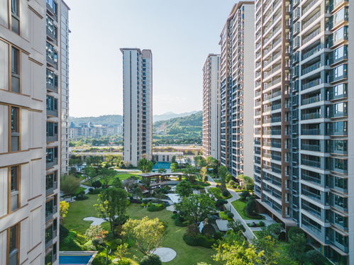 產品力刷爆巖城 龍巖這個園林實景展示區驚艷亮相