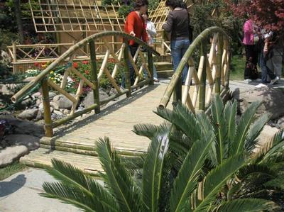 綠化工程_綠化工程供貨商_供應(yīng)綠化工程領(lǐng)先企業(yè)-上海綠化工程首選哪家公司_綠化工程價格_上海康馨園林(晨蘇實(shí)業(yè))