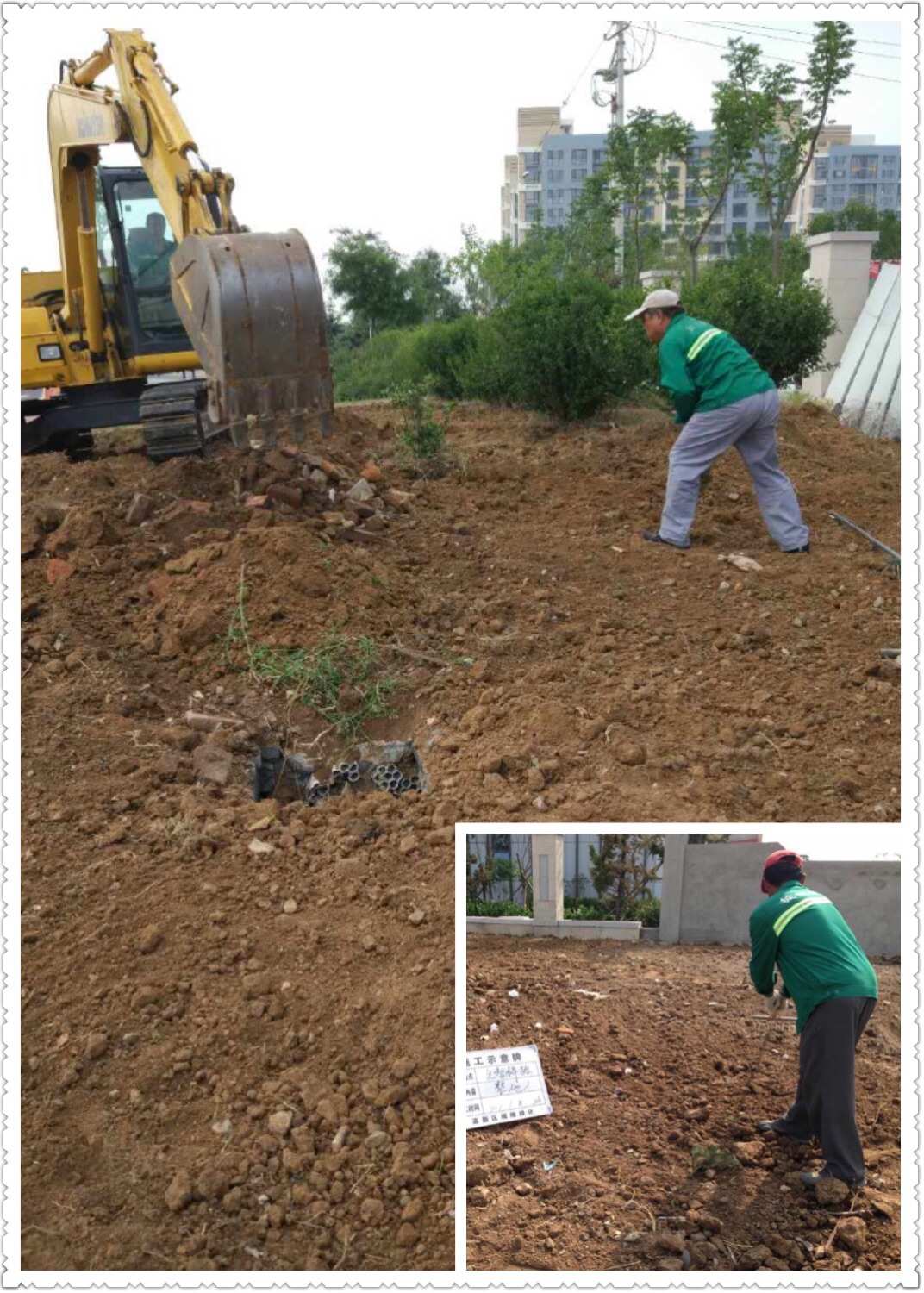 青島高新城維實(shí)業(yè)園林綠化公司2017年6月份第一.