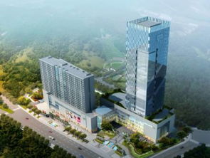 四川藍(lán)圖 未來(lái)五年打造最美農(nóng)業(yè)主題公園、國(guó)際康養(yǎng)城、文化特色街區(qū)與園林實(shí)業(yè)