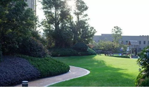 新力地產(chǎn)鈺瓏灣 經(jīng)濟(jì)性景觀與公園化住宅的完美碰撞