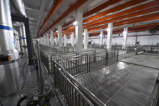 綠茵之下，匠心筑夢 一座公園的園林實(shí)業(yè)密碼